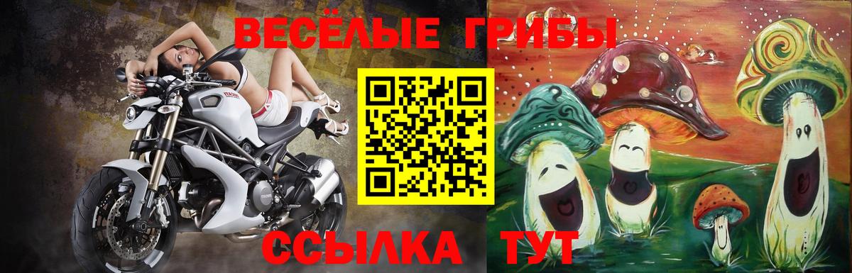 цены наркотик  Псилоцибиновые грибы прущие грибы  Вход с VPN  Магадан 